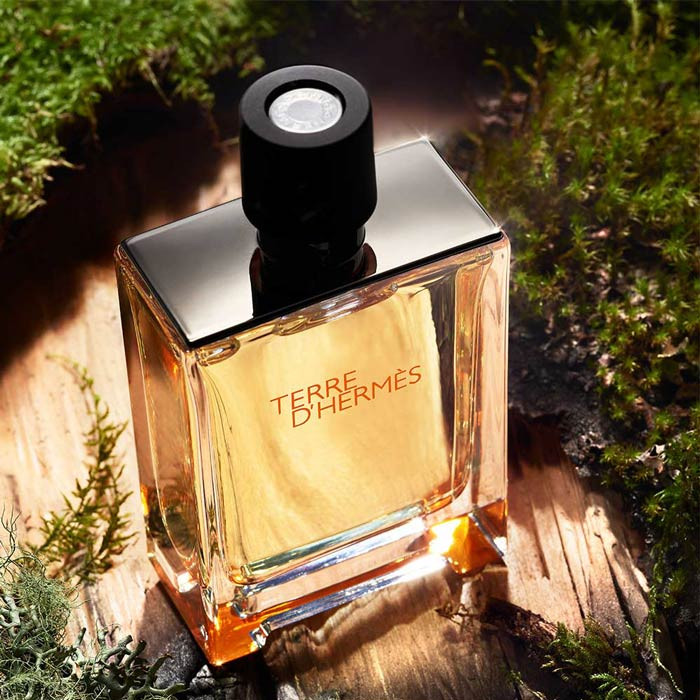 عطر،ادکلن تق هرمس ادو تویلت